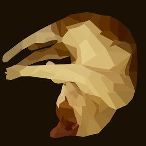 Meet your Posher, Bailey